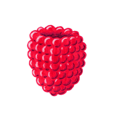 Raspberry | creativeliz